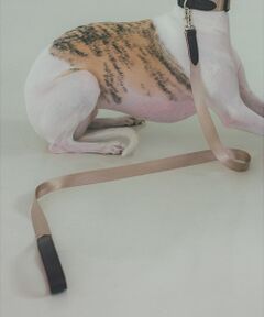 LOWELL Things / ロウェルシングス ペットグッズ | MATIE/中型犬/ショートリード【Direction by 有末 麻祐子】