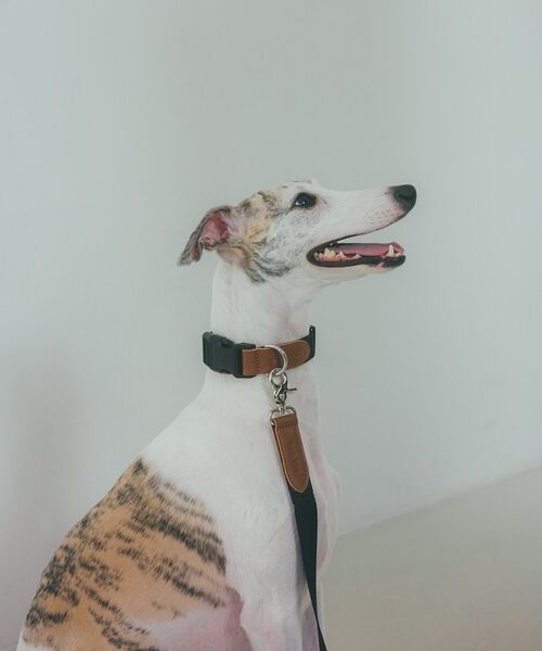 LOWELL Things / ロウェルシングス ペットグッズ | MATIE/中型犬/ショートリード【Direction by 有末 麻祐子】 | 詳細2