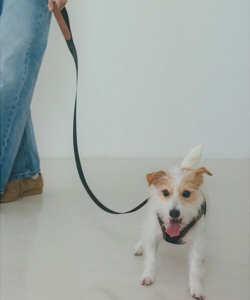 LOWELL Things / ロウェルシングス ペットグッズ | MATIE/中型犬/ショートリード【Direction by 有末 麻祐子】（ブラック）