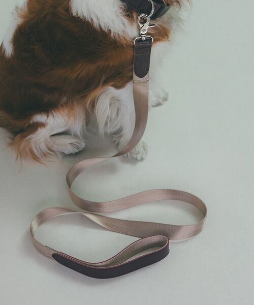 LOWELL Things / ロウェルシングス ペットグッズ | MATIE/中型犬/ショートリード【Direction by 有末 麻祐子】 | 詳細10