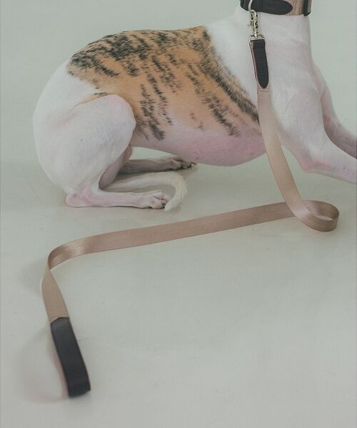 LOWELL Things / ロウェルシングス ペットグッズ | MATIE/中型犬/ショートリード【Direction by 有末 麻祐子】（ベージュ）