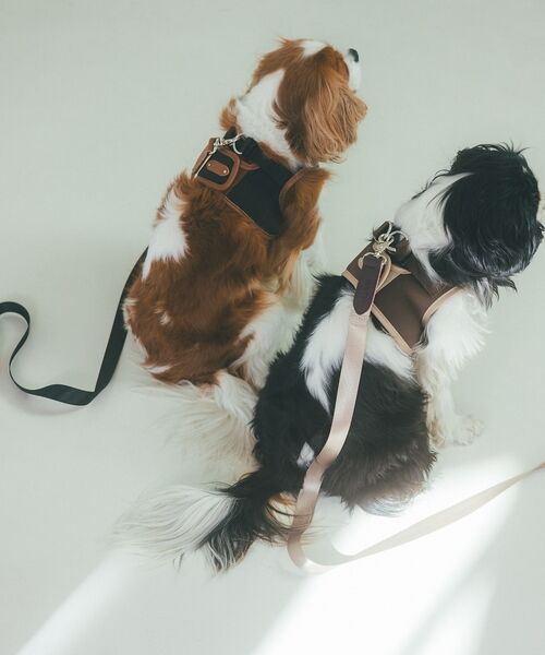 LOWELL Things / ロウェルシングス ペットグッズ | MATIE/中型犬/ショートリード【Direction by 有末 麻祐子】 | 詳細13