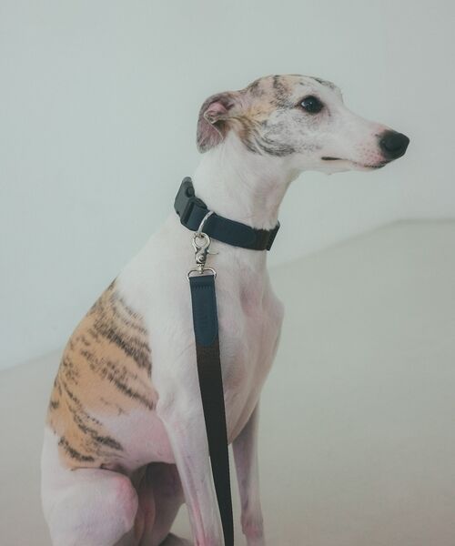 LOWELL Things / ロウェルシングス ペットグッズ | MATIE/中型犬/ショートリード【Direction by 有末 麻祐子】 | 詳細14