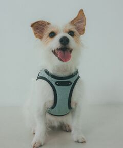 LOWELL Things / ロウェルシングス ペットグッズ | MATIE/ハーネス(S/M/L)【Direction by 有末麻祐子】