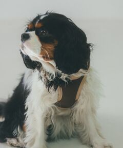 LOWELL Things / ロウェルシングス ペットグッズ | MATIE/ハーネス(S/M/L)【Direction by 有末麻祐子】