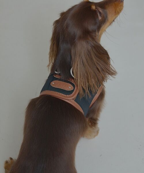 LOWELL Things / ロウェルシングス ペットグッズ | MATIE/ハーネス(S/M/L)【Direction by 有末麻祐子】 | 詳細4