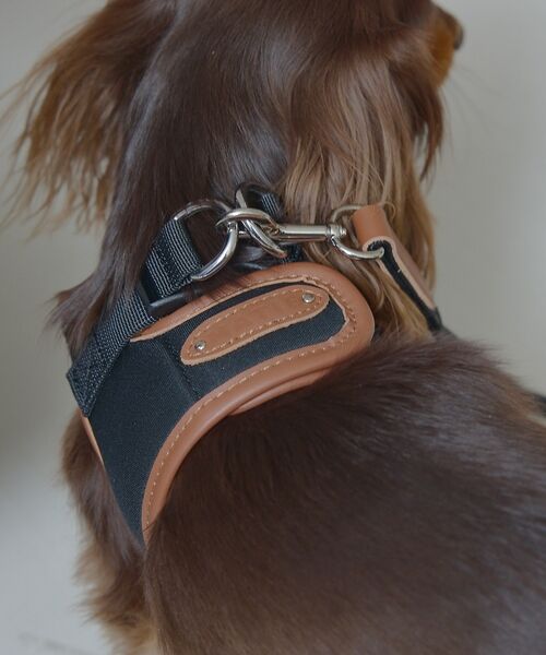 LOWELL Things / ロウェルシングス ペットグッズ | MATIE/ハーネス(S/M/L)【Direction by 有末麻祐子】 | 詳細5