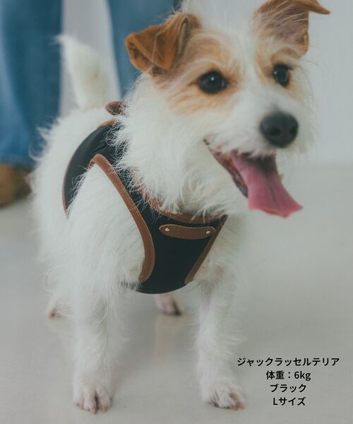 LOWELL Things / ロウェルシングス ペットグッズ | MATIE/ハーネス(S/M/L)【Direction by 有末麻祐子】 | 詳細7