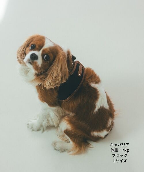 LOWELL Things / ロウェルシングス ペットグッズ | MATIE/ハーネス(S/M/L)【Direction by 有末麻祐子】 | 詳細8