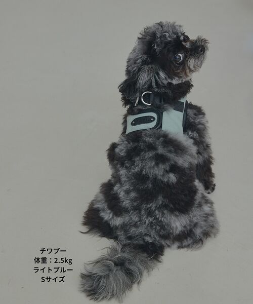 LOWELL Things / ロウェルシングス ペットグッズ | MATIE/ハーネス(S/M/L)【Direction by 有末麻祐子】 | 詳細11