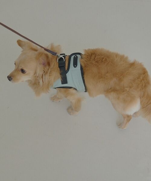 LOWELL Things / ロウェルシングス ペットグッズ | MATIE/ハーネス(S/M/L)【Direction by 有末麻祐子】 | 詳細20