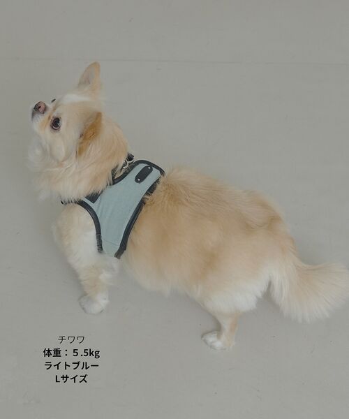 LOWELL Things / ロウェルシングス ペットグッズ | MATIE/ハーネス(S/M/L)【Direction by 有末麻祐子】 | 詳細21