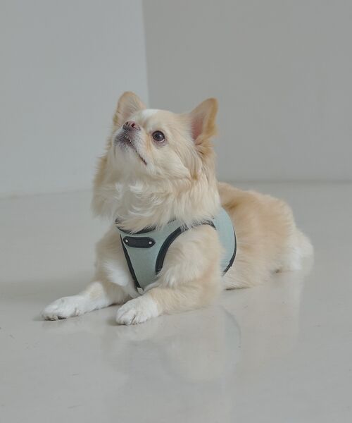 LOWELL Things / ロウェルシングス ペットグッズ | MATIE/ハーネス(S/M/L)【Direction by 有末麻祐子】 | 詳細22