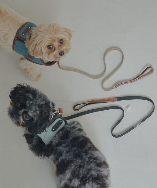 LOWELL Things / ロウェルシングス ペットグッズ | MATIE/ハーネス(S/M/L)【Direction by 有末麻祐子】 | 詳細13