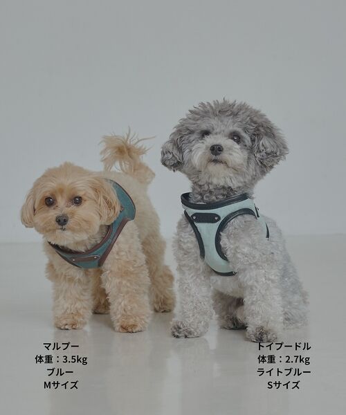 LOWELL Things / ロウェルシングス ペットグッズ | MATIE/ハーネス(S/M/L)【Direction by 有末麻祐子】 | 詳細14