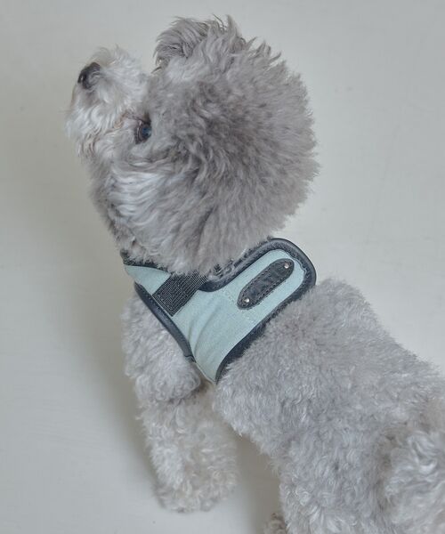 LOWELL Things / ロウェルシングス ペットグッズ | MATIE/ハーネス(S/M/L)【Direction by 有末麻祐子】 | 詳細16