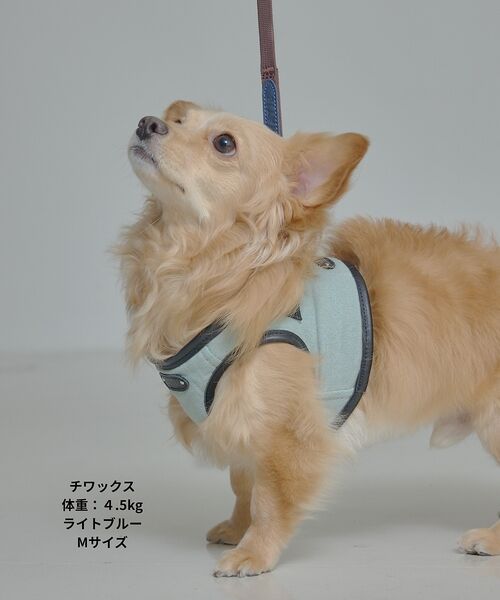 LOWELL Things / ロウェルシングス ペットグッズ | MATIE/ハーネス(S/M/L)【Direction by 有末麻祐子】 | 詳細19