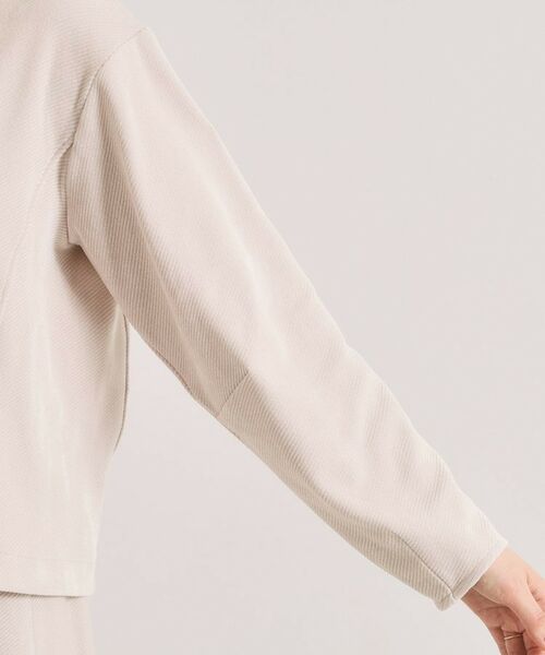 ITS'DEMO / イッツデモ カットソー | 【手洗い可／セットアップ可】カットツイルプルオーバー | 詳細22