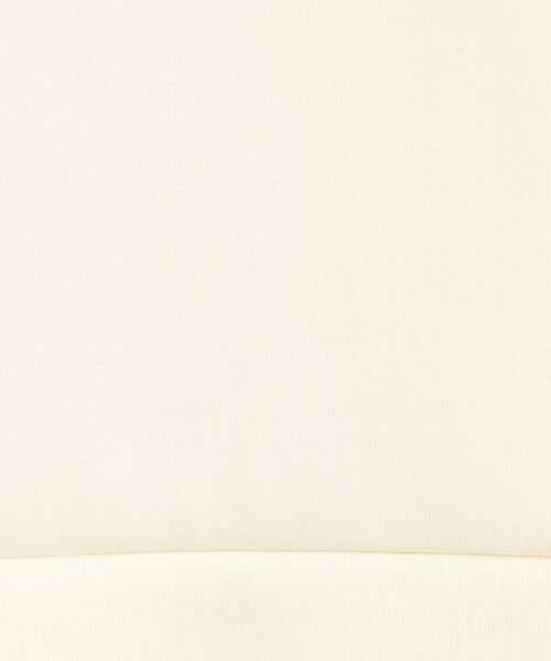 ITS'DEMO / イッツデモ カットソー | 【洗濯機OK／花粉防止】ダンボールプルオーバー | 詳細4