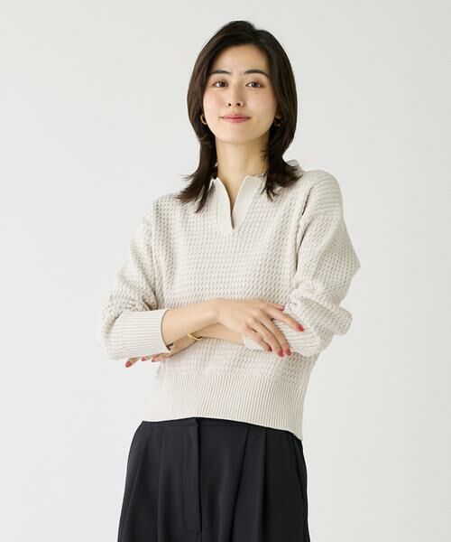 I.T.'S. international / イッツインターナショナル ニット・セーター | スキッパーケーブル衿ニットプルオーバー（グレーベージュ3）