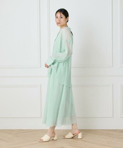 I.T.'S. international / イッツインターナショナル ロング・マキシ丈スカート | シアー楊柳スカート | 詳細20