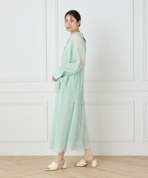 I.T.'S. international / イッツインターナショナル シャツ・ブラウス | シアー楊柳オーバーサイズシャツ | 詳細10