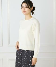 I.T.'S. international / イッツインターナショナル ニット・セーター | ウォッシャブルウールベーシッククルーネックニット《HARMONY》