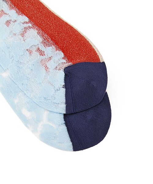 JNBY / ジェーエヌビーワイ ソックス | Floral Sheer Socks | 詳細9