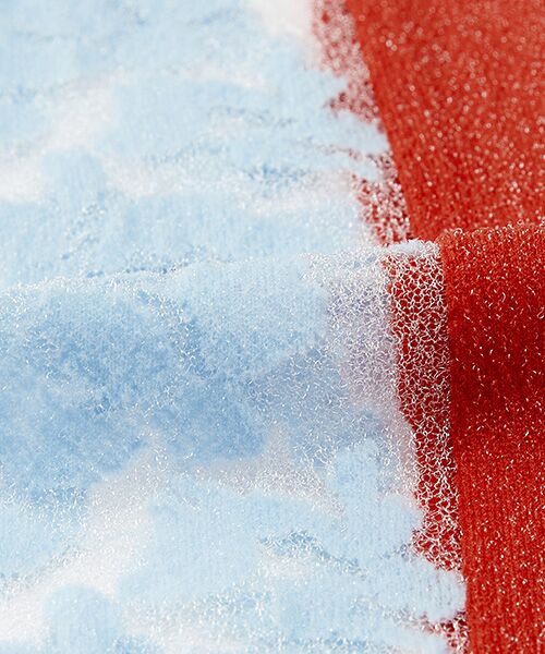 JNBY / ジェーエヌビーワイ ソックス | Floral Sheer Socks | 詳細10