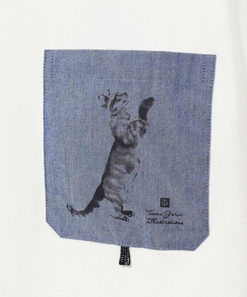 アンティークドイツAFGA ISOLEHE made in GERMANY完動品 ARTWARE 製品詳細ページ | 製品 | UNION CORPORATION JAPAN