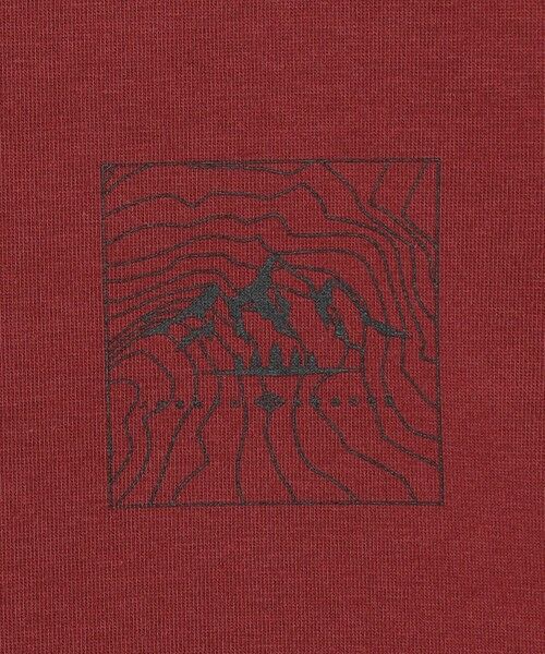 JOSEPH ABBOUD / ジョセフ アブード カットソー | 【JAPANファブリック/吸水速乾】プレーティング天竺アウトドア Tシャツ | 詳細11