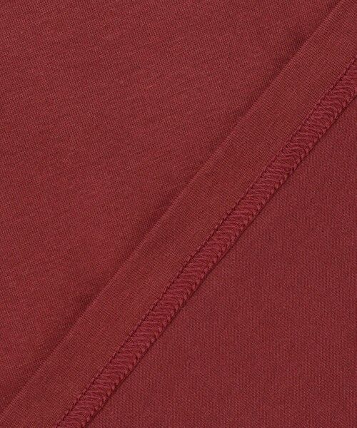 JOSEPH ABBOUD / ジョセフ アブード カットソー | 【JAPANファブリック/吸水速乾】プレーティング天竺アウトドア Tシャツ | 詳細13