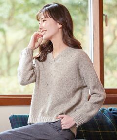 J.PRESS / ジェイプレス ニット・セーター | 【洗える】ウールネップ Vネック ニット