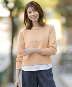 J.PRESS / ジェイプレス ニット・セーター | 【洗える】Reeves  Shine クルーネック ニット