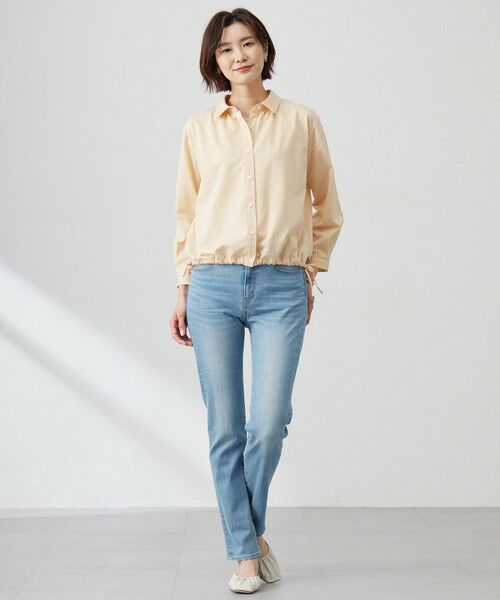 J.PRESS / ジェイプレス カットソー | Jカミーチェストライプ シャツカラー カットソー | 詳細1