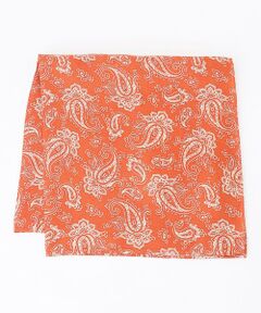 J.PRESS / ジェイプレス ハンカチ | ペイズリーハンドプリント チーフ