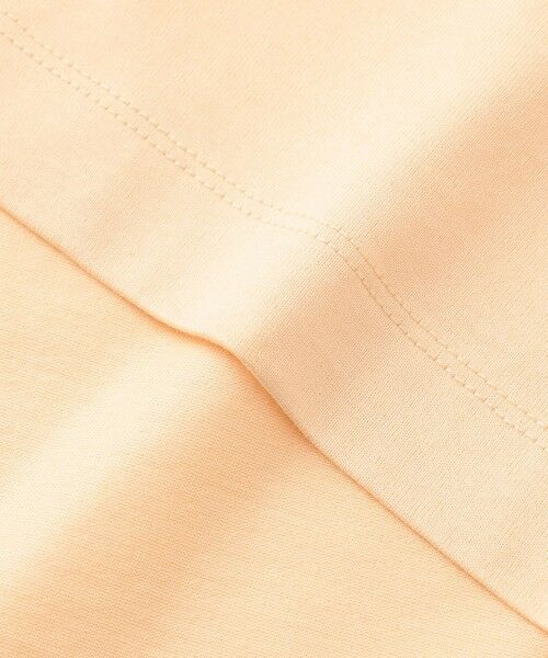 J.PRESS / ジェイプレス カットソー | カレッジロゴ Tシャツ | 詳細23