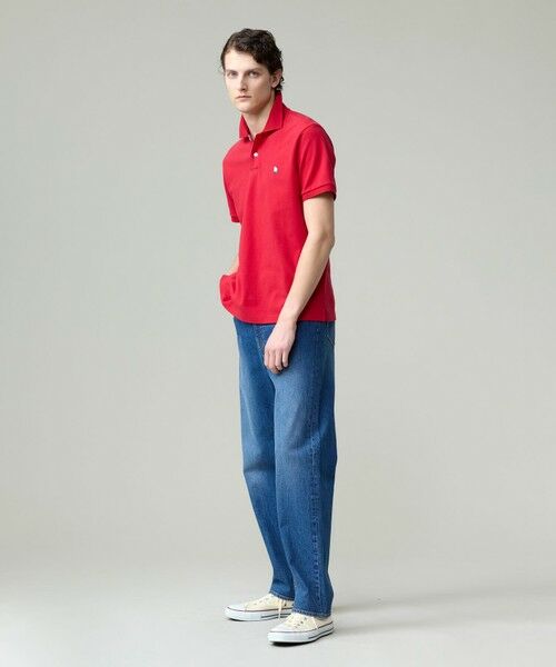 J.PRESS / ジェイプレス ポロシャツ | 気品と愛嬌のバランスが抜群!【J.PRESS人気NO1ポロシャツ】 バックブルカノコレジメン ポロシャツ | 詳細13