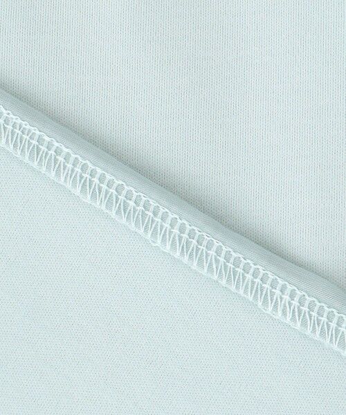 J.PRESS / ジェイプレス カットソー | 【WEB限定カラーあり・洗える】コットンスムース シアーデザイン カットソー | 詳細29