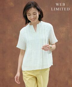 【WEB限定カラーあり・洗える】シアーチェック カットソー