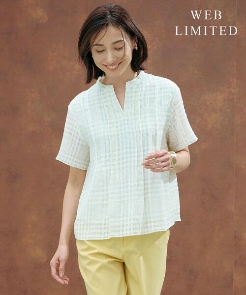 J.PRESS / ジェイプレス カットソー | 【WEB限定カラーあり・洗える】シアーチェック カットソー(【WEB限定カラー】アイボリー×オフギンガム系)