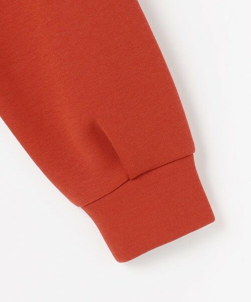 J.PRESS / ジェイプレス カットソー | ダンボールジャージー プルオーバー | 詳細19