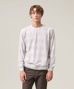 J.PRESS / ジェイプレス カットソー | アーガイルワントーンリンクス ロングスリーブ Tシャツ