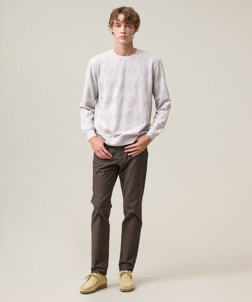 J.PRESS / ジェイプレス カットソー | アーガイルワントーンリンクス ロングスリーブ Tシャツ | 詳細1