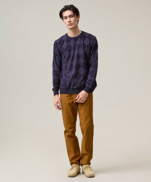 J.PRESS / ジェイプレス カットソー | アーガイルワントーンリンクス ロングスリーブ Tシャツ | 詳細6