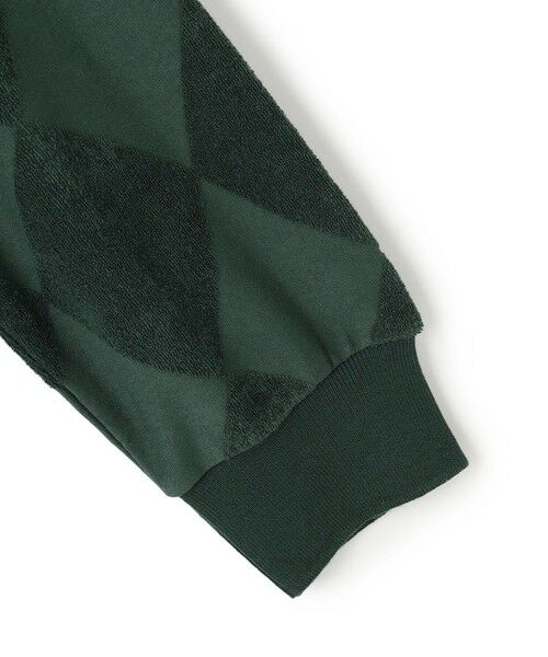 J.PRESS / ジェイプレス カットソー | アーガイルワントーンリンクス ロングスリーブ Tシャツ | 詳細11