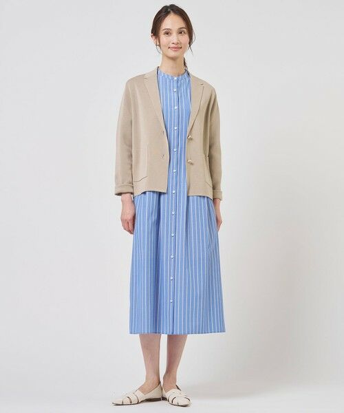 J.PRESS / ジェイプレス ロング・マキシ丈ワンピース | TC ハイカウントストライプ シャツ ワンピース | 詳細21