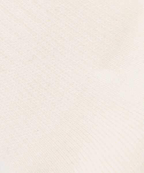 J.PRESS / ジェイプレス ソックス | 【BULLDOG BOY】リブライン ソックス | 詳細5