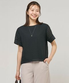 J.PRESS / ジェイプレス カットソー | 【一枚で着映え】シアーギンガム クルーネック カットソー