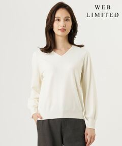J.PRESS / ジェイプレス ニット・セーター | 【WEB限定・人気定番アイテム・シーンレスに活躍】PRINCE Vネック ニット